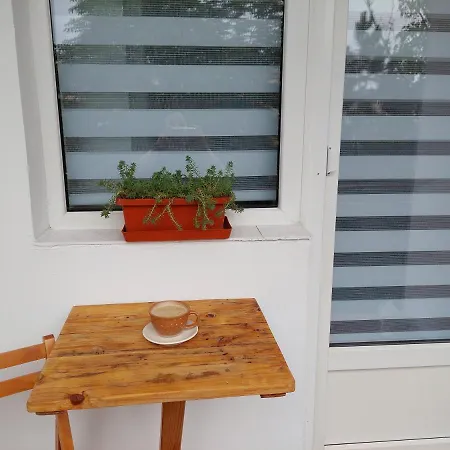Bright And Cozy Apartment! * 클루지나포카