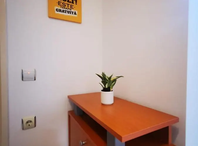 Apartment Bright And Cozy Apartment! Cluj-Napoca