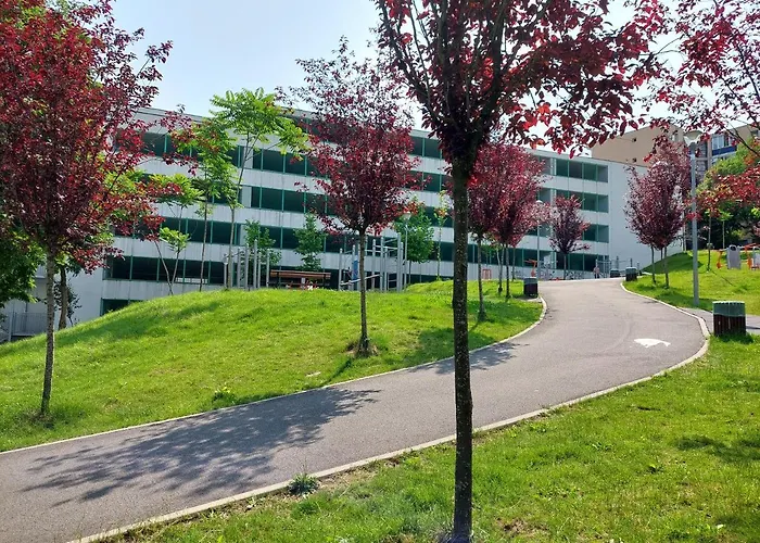 Bright And Cozy Apartment! Apartment *