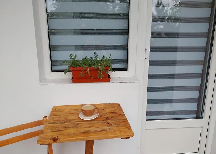 Bright And Cozy Apartment! * Cluj-Napoca